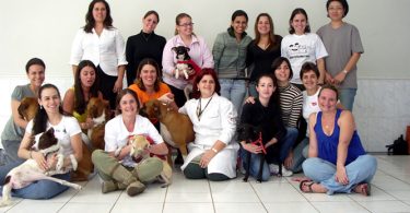 I Curso de Massagem organizado pela Reabivet