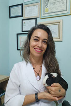 M.V. Daniela Augusto